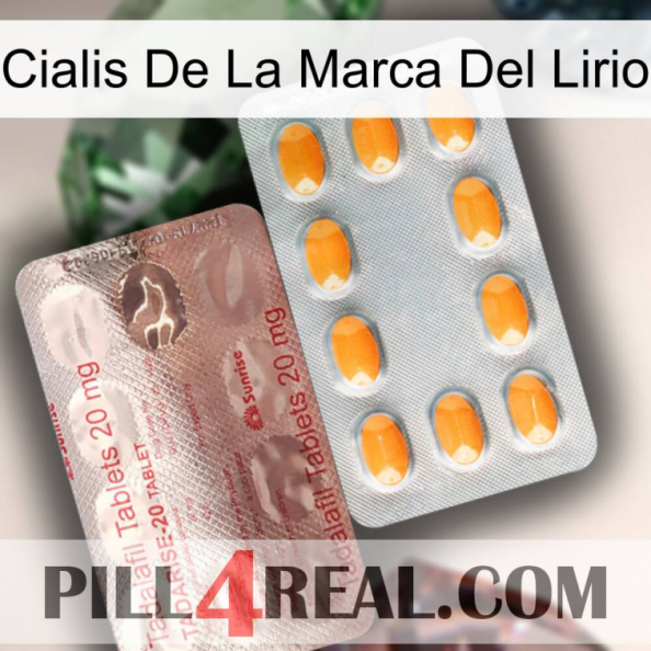 Lily Brand Cialis new13.jpg